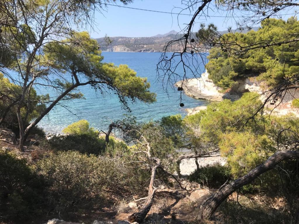 Vana Kavos Apartment Agia Marina  ภายนอก รูปภาพ