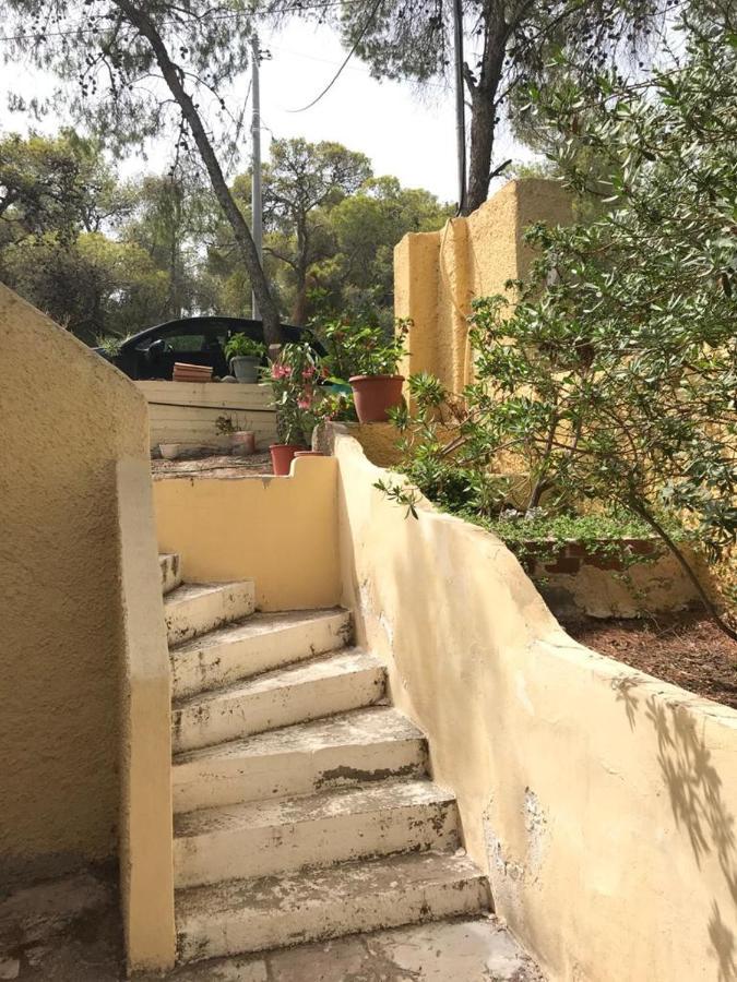 Vana Kavos Apartment Agia Marina  ภายนอก รูปภาพ